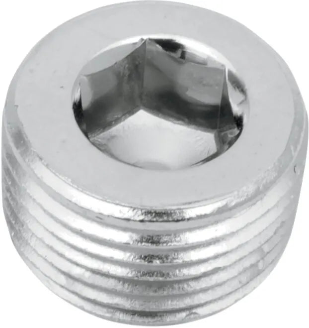 GARDNER-WESTCOTT 3/8" NPT Plug i krom bild 1 PMMEDIA:036bb53953d7cd07