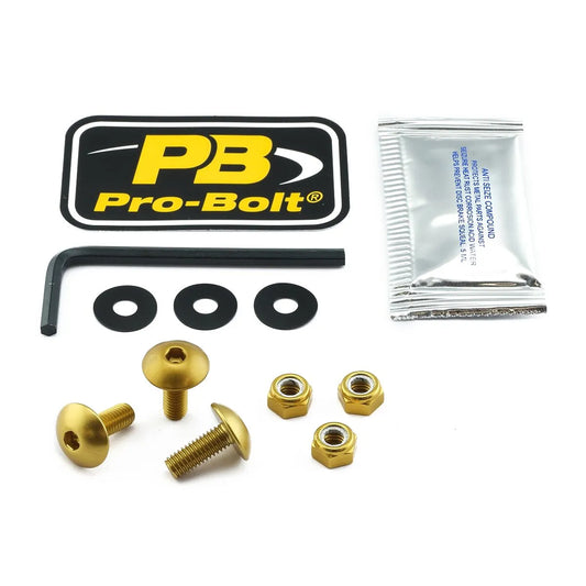 PRO BOLT Aluminium Bultkit för Registreringsskylt Guld bild 1 PMMEDIA:e5b43012a6779b27