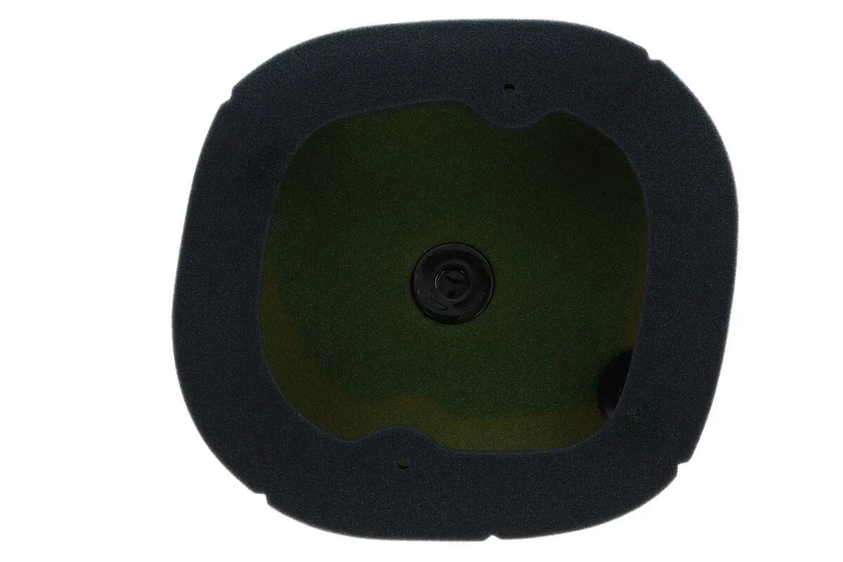 TWIN AIR Pre-Oiled Luftfilter för Triumph TF '24 bild 3 PMMEDIA:e3e69ddbb80f8e0b