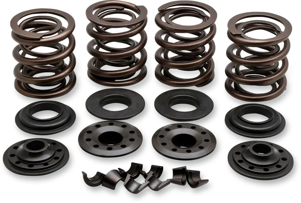 KIBBLEWHITE Ventilfjädersats OEM Replacement bild 1 PMMEDIA:8c8417c036ca560e