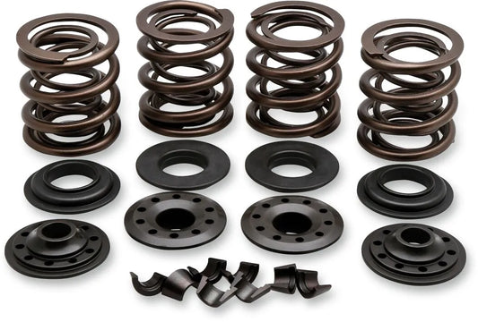 KIBBLEWHITE Ventilfjädersats OEM Replacement bild 1 PMMEDIA:8c8417c036ca560e