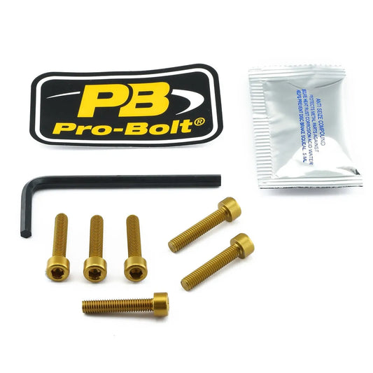PRO BOLT Aluminium Tanklock Kit Guld bild 1 PMMEDIA:ee58ce15ba2f6bf3