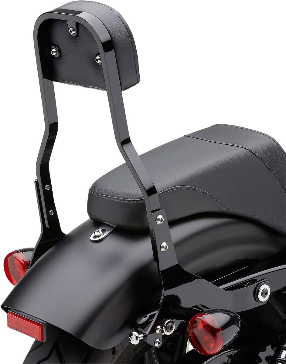 Cobra Detachable Backrest Kit Sissybars bild 11 PMMEDIA:7fae6484eb833e71