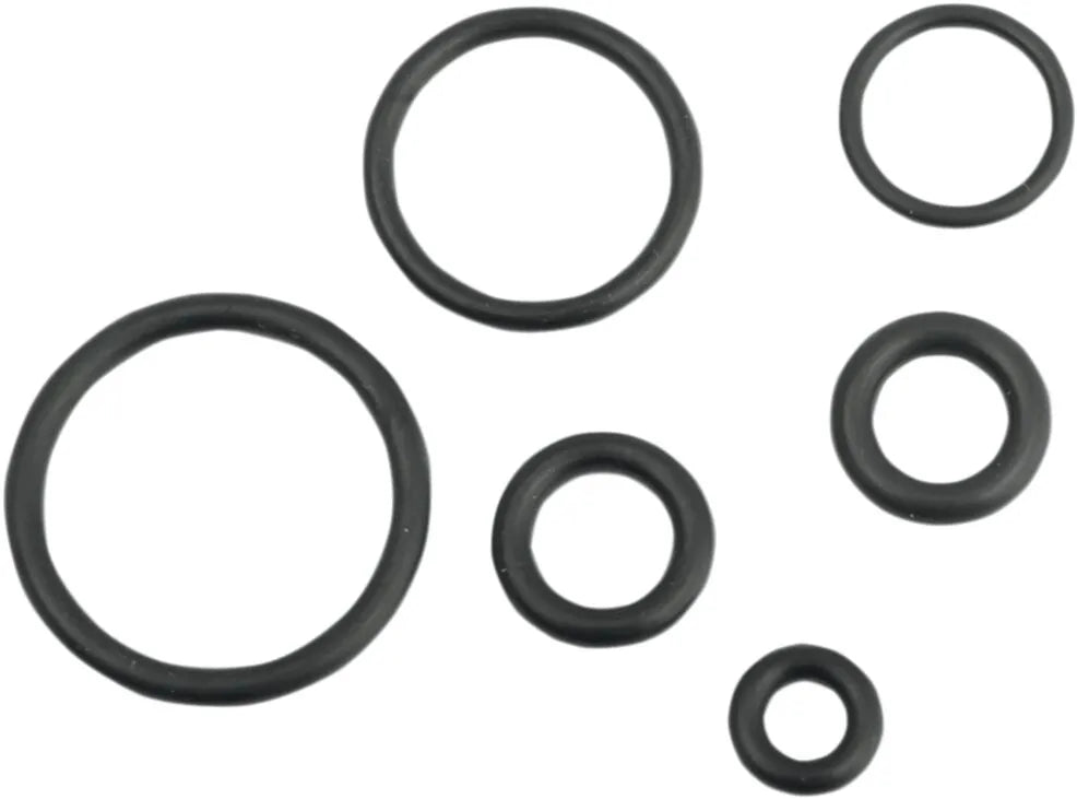 DRAG SPECIALTIES O-Ring Service Kit för EFI-bränsleledningar bild 1 PMMEDIA:ea4b99e91e4ee82e