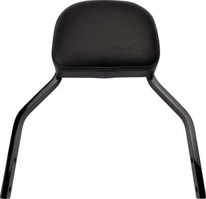 Cobra Detachable Backrest Kit Sissybars bild 2 PMMEDIA:c725d5332c60a7cf