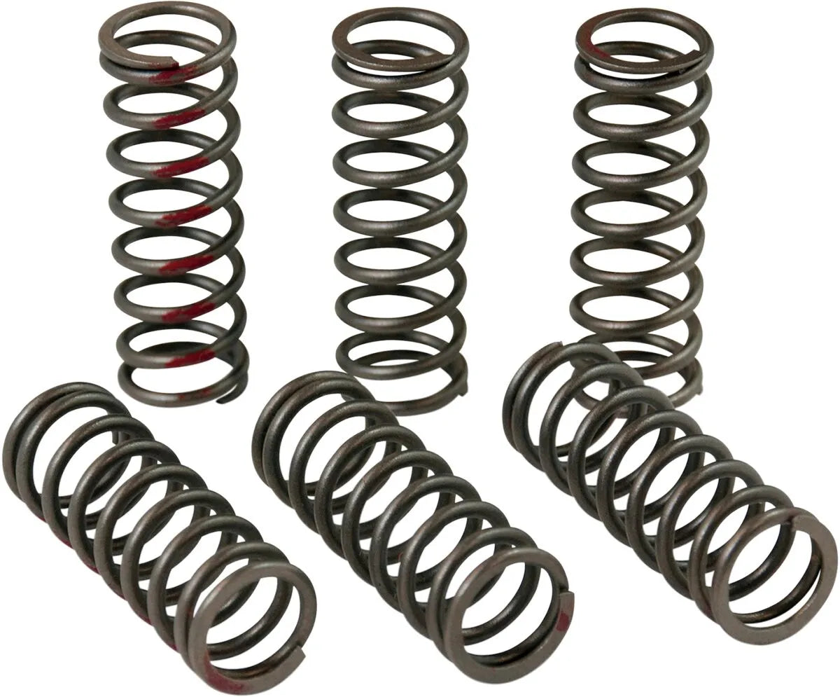 PRO CIRCUIT Clutch Spring Set för CRF450R bild 1 PMMEDIA:dd69f93edbd1fed7