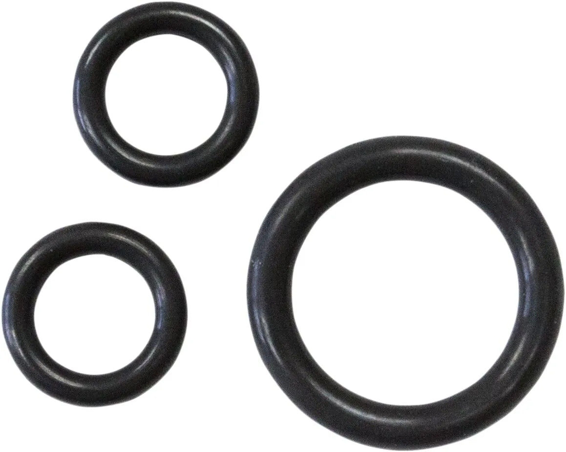 S&S CYCLE O-ring Kit för Olje Pump Twin Cam bild 1 PMMEDIA:84ef1821d01d1246