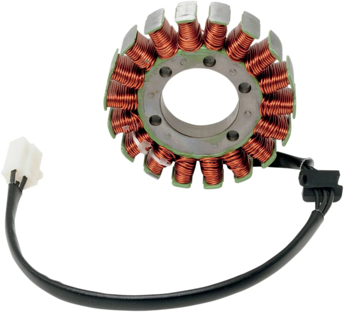 RICK'S MOTORSPORT ELECTRIC Stator för Kawasaki bild 1 PMMEDIA:555b101a687115f6