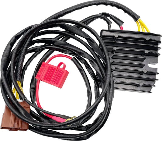 RICK'S MOTORSPORT ELECTRIC Hot Shot Lithium-Ion Kompatibel Regulator bild 1 PMMEDIA:65091deab80e24d7