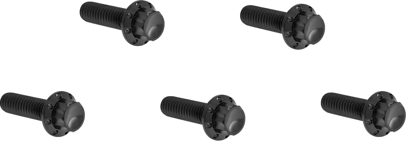 Arlen Ness Derby Cover Titanium 12-Point Bolt Kit Monteringssats fordonsanpassade bild 1 PMMEDIA:6ab3bd4fc2ac04e4