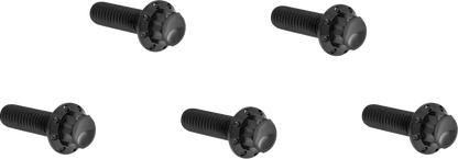 Arlen Ness Derby Cover Titanium 12-Point Bolt Kit Monteringssats fordonsanpassade bild 1 PMMEDIA:6ab3bd4fc2ac04e4