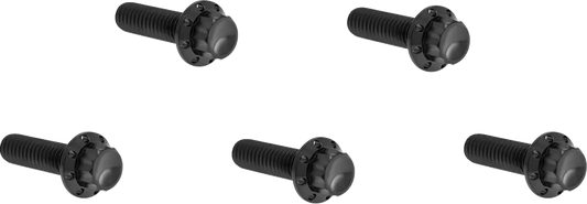 Arlen Ness Derby Cover Titanium 12-Point Bolt Kit Monteringssats fordonsanpassade bild 1 PMMEDIA:6ab3bd4fc2ac04e4