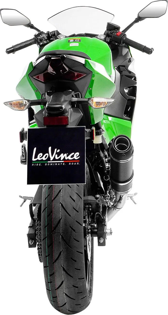 LEOVINCE GP Corsa Evo Slip-On Ljuddämpare bild 10 PMMEDIA:06cfed6aca61f587