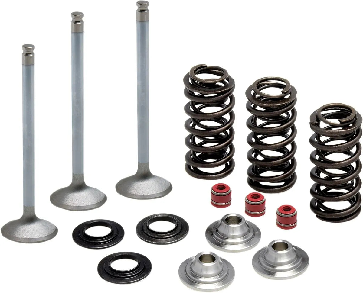 Kibblewhite Intake Stainless Conversion Valve and Spring Kit Ventiler & delar bild 1 PMMEDIA:7c3a6a54d0d08716