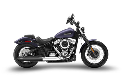 ZARD Slip-On Ljuddämpare 4,5" för Harley-Davidson Softail bild 2 PMMEDIA:e71bbfb5c147f1e2