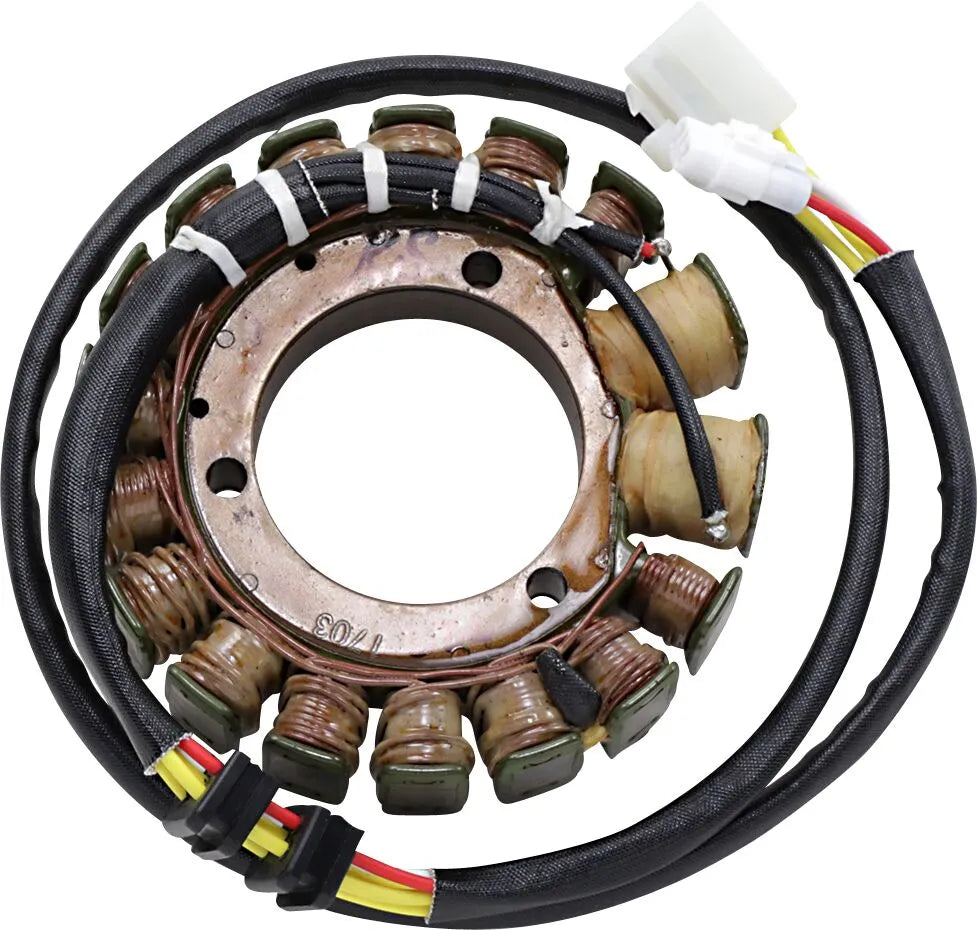 RICK'S MOTORSPORT ELECTRIC Stator för Kawasaki bild 1 PMMEDIA:203ecf16b703083b