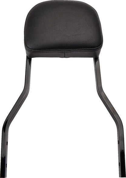 Cobra Detachable Backrest Kit Sissybars bild 2 PMMEDIA:ea6db85a34d1dd32