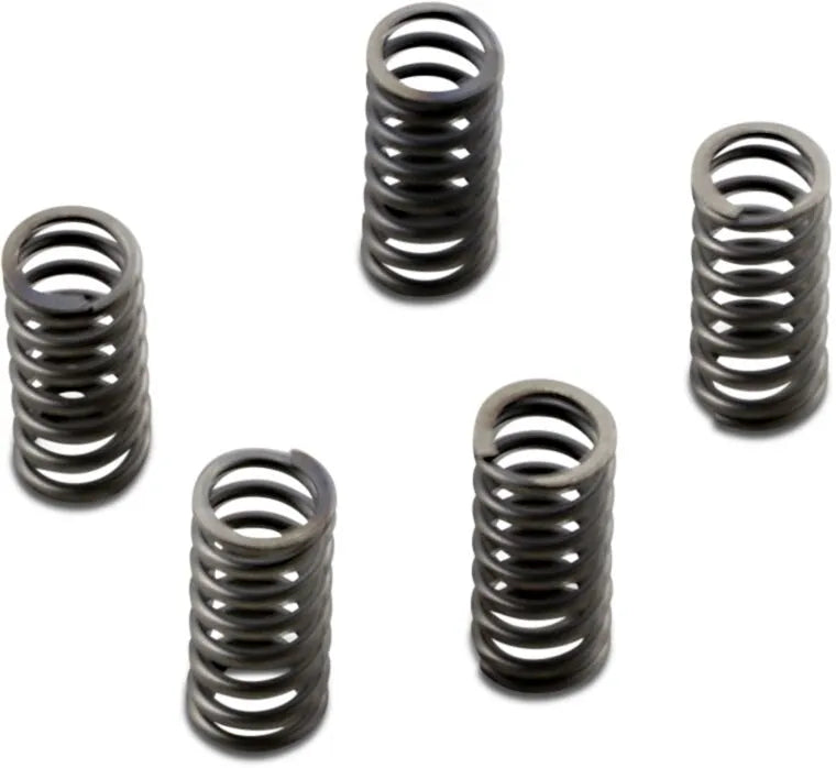 EBC CSK Series Clutch Spring Kit Heavy Duty bild 1 PMMEDIA:f4bae7c2883aba8e
