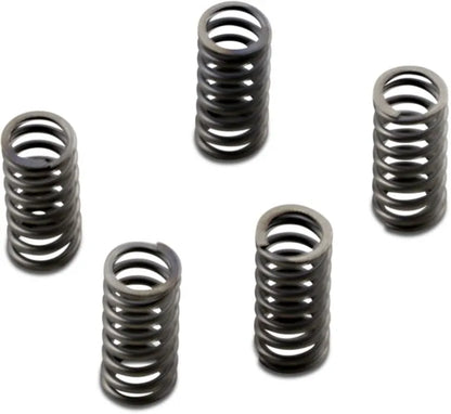 EBC CSK Series Clutch Spring Kit Heavy Duty bild 1 PMMEDIA:f4bae7c2883aba8e