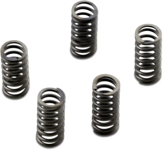 EBC CSK Series Clutch Spring Kit Heavy Duty bild 1 PMMEDIA:f4bae7c2883aba8e