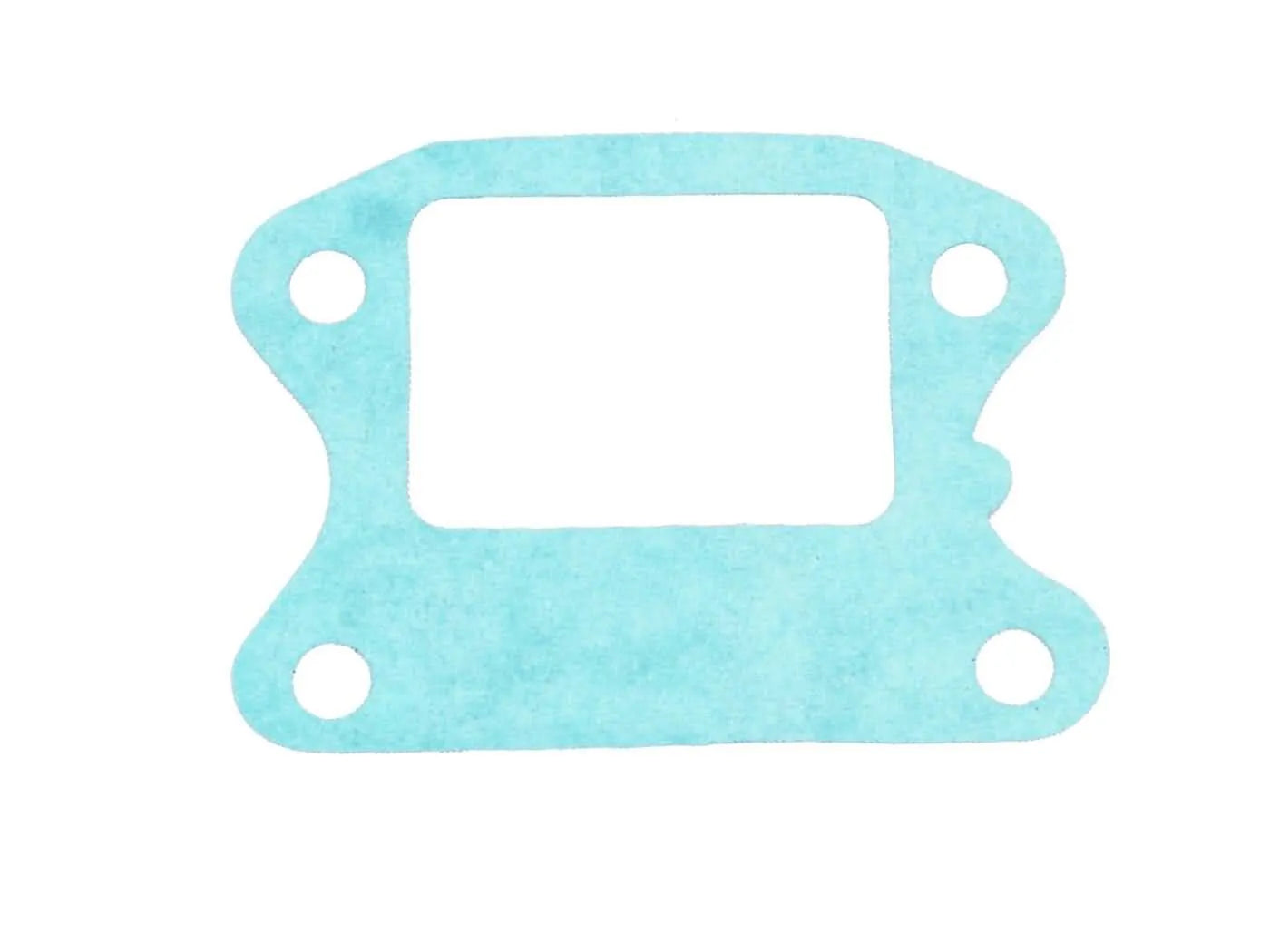 101 OCTANE Reed Valve Packning bild 1 PMMEDIA:edfe988ecc725385