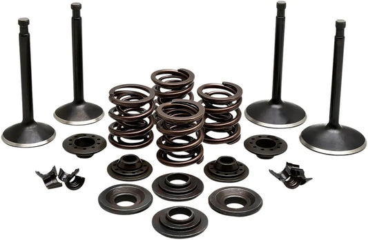 Kibblewhite Engine Valve Kit Ventiler & delar bild 1 PMMEDIA:916fc3148dd3a002