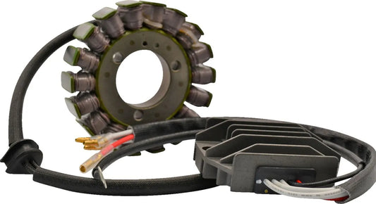 RICK'S MOTORSPORT ELECTRIC Lithium-Ion Laddningskit för Kawasaki bild 1 PMMEDIA:8b596e5bf65ab392