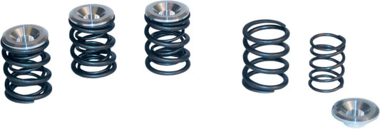 S&S CYCLE Ventilfjädersats för Panhead 1948-1984 bild 1 PMMEDIA:e62e784ec2e9d525