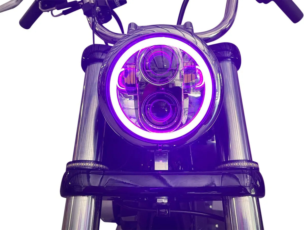 CUSTOM DYNAMICS ProGLOW™ LED Strålkastare med Färgomskiftande Halo bild 3 PMMEDIA:d393f22aea588a37