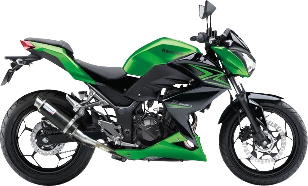 LEOVINCE GP Corsa Slip-On Ljuddämpare för Ninja300R bild 5 PMMEDIA:98de9a7c3f73d474
