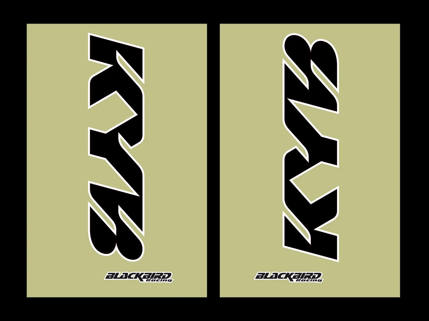BLACKBIRD RACING Fork Stickers KYB Svart bild 1 PMMEDIA:291cdd026f7d39df