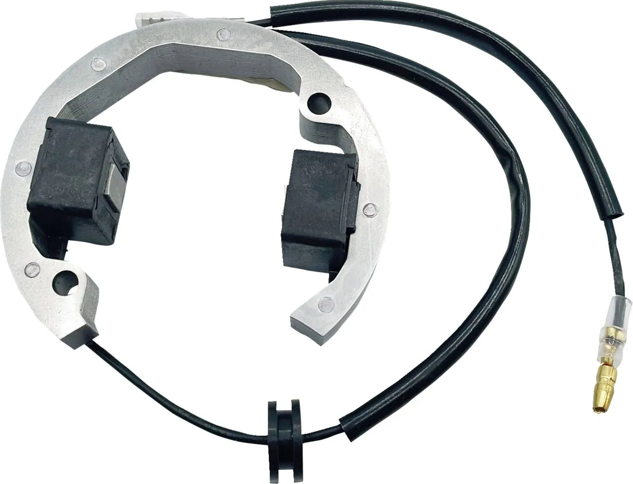 RICK'S MOTORSPORT ELECTRIC Stator för KTM HUS 50 bild 1 PMMEDIA:663152b2cb09d139
