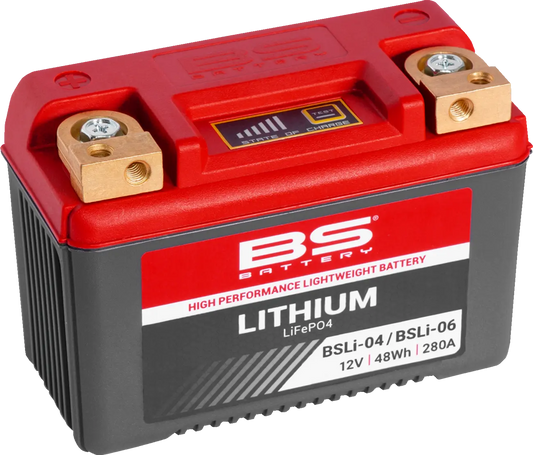 BS BATTERY Lithium LiFePO4 Batteri BSLi-04/BSLi-06 bild 1 PMMEDIA:63f57186d2840d84