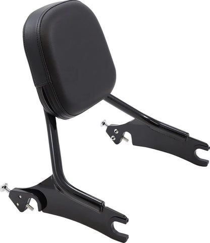 Cobra Short Detachable Backrest Sissybars bild 1 PMMEDIA:bf13df8bf21679ec