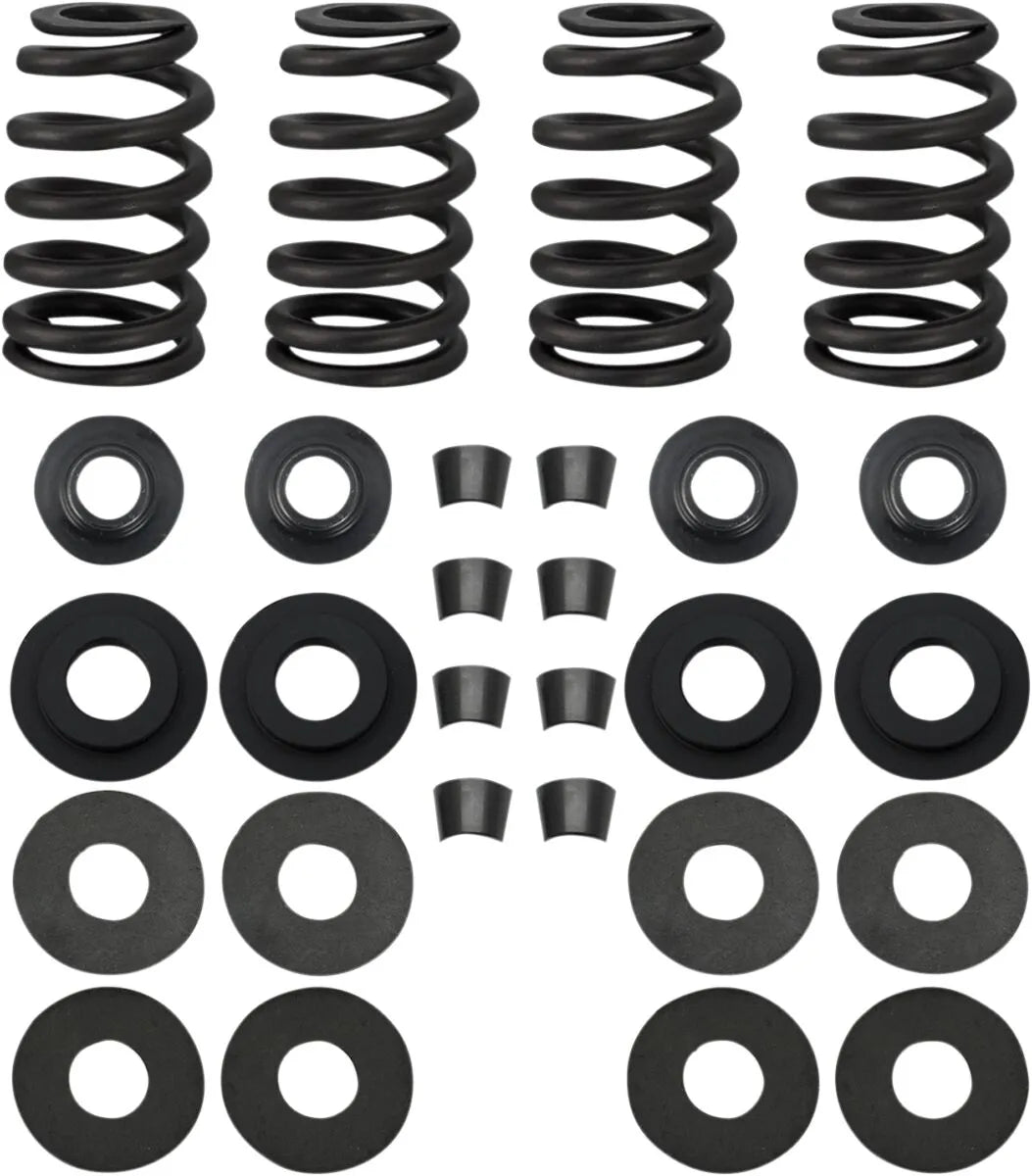 S&S CYCLE 0.585" Street Performance Ventilfjäderkit bild 1 PMMEDIA:2a4fa0bd155f6b3e