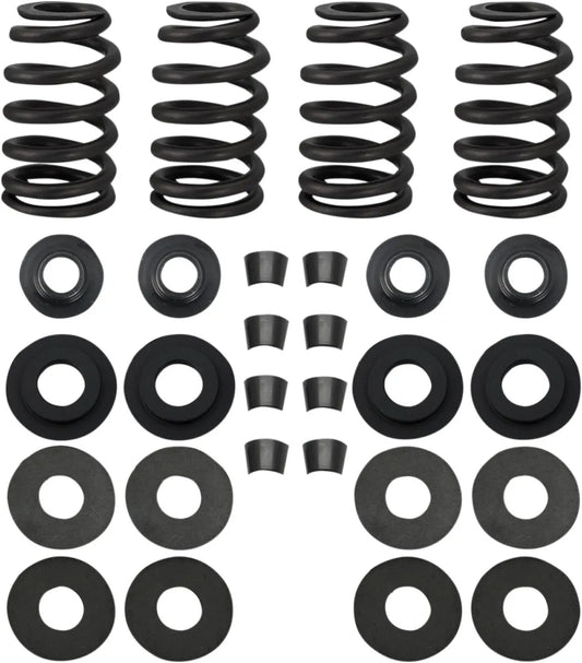 S&S CYCLE 0.585" Street Performance Ventilfjäderkit bild 1 PMMEDIA:2a4fa0bd155f6b3e