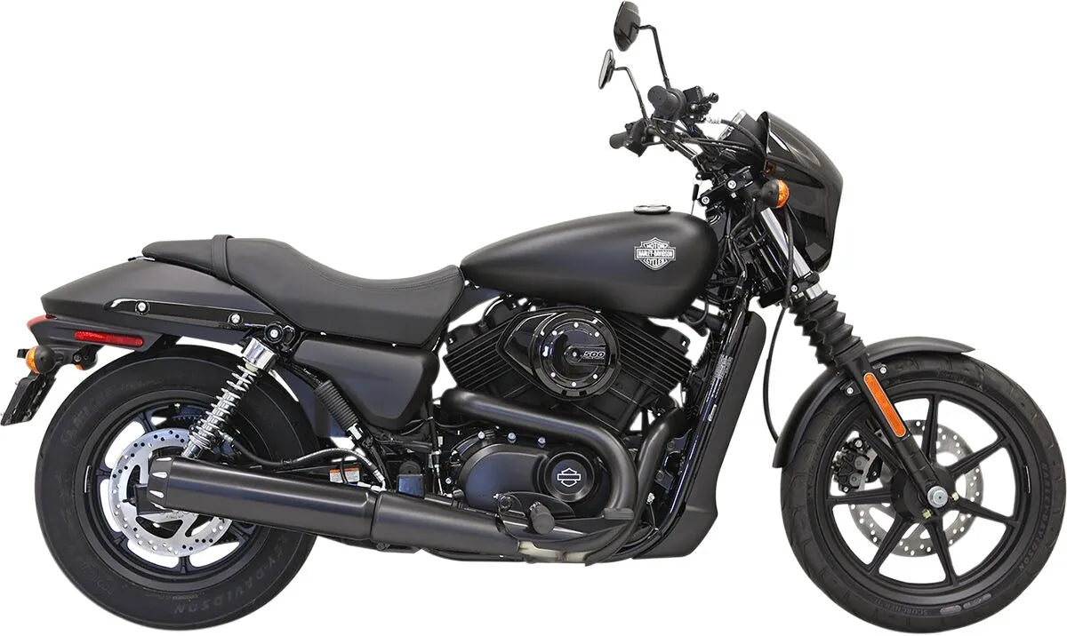 BASSANI XHAUST Slip-On Ljuddämpare 4" Svart bild 1 PMMEDIA:da3cf2f942c42147