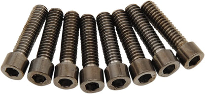 Drag Specialties M-Eight Bolt Kit Monteringssats fordonsanpassade bild 2 PMMEDIA:121bd4e596cf28a9