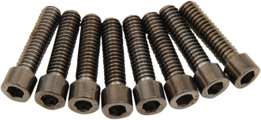 Drag Specialties M-Eight Bolt Kit Monteringssats fordonsanpassade bild 2 PMMEDIA:121bd4e596cf28a9