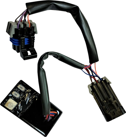 CUSTOM DYNAMICS SMART Triple Play® Module för Indian bild 1 PMMEDIA:b5a594aa22d482ca