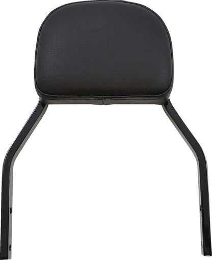 Cobra Detachable Backrest Kit Sissybars bild 19 PMMEDIA:ba1c1d49df14b201