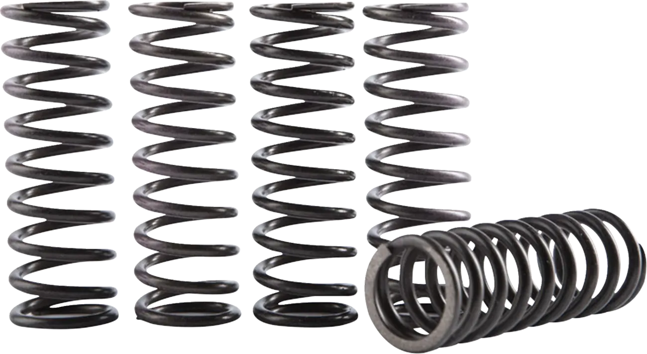 HINSON RACING Hi-Temp Kopplingsfjäder Kit YZF250 19-22 bild 1 PMMEDIA:0a03f114471c896f