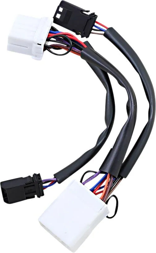 CUSTOM DYNAMICS Kabeladapter för Dual Color Plasma Rods bild 1 PMMEDIA:ce5717dd53dcd6cd