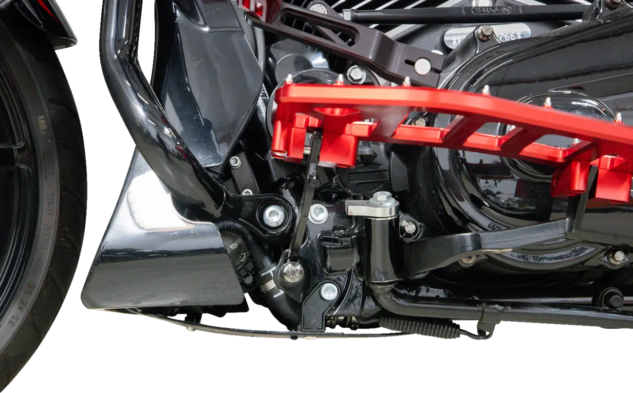 Thrashin Supply Co Skid Plate Motorskydd bild 17 PMMEDIA:05943b97fb7fbc36