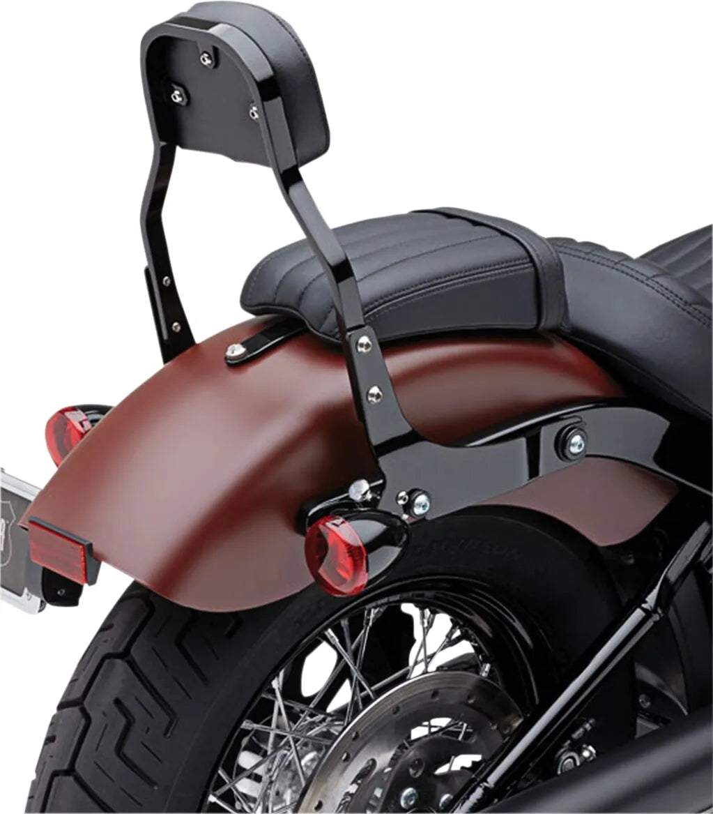Cobra Detachable Backrest Kit Sissybars bild 4 PMMEDIA:b2bdc14322de019c