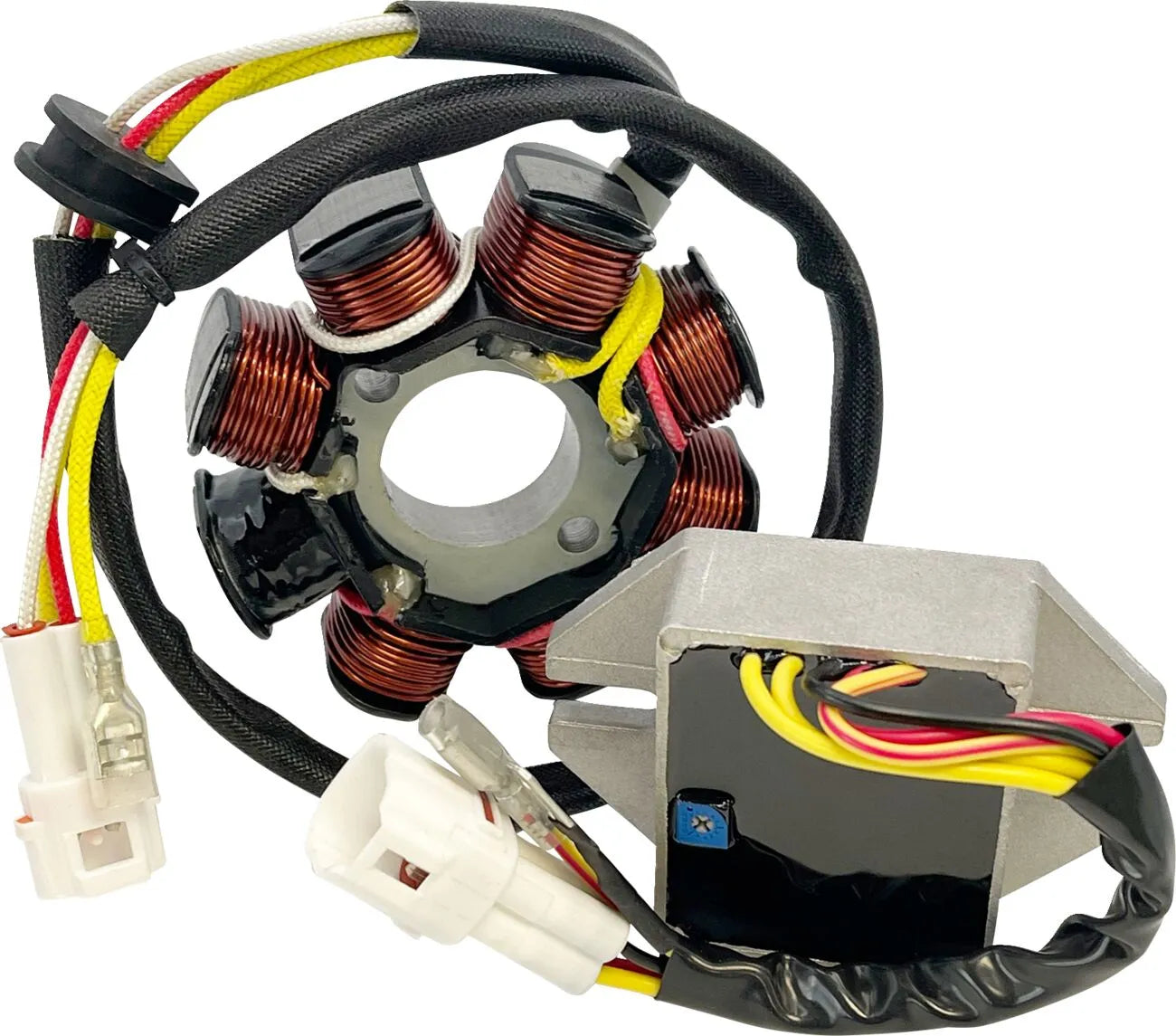 RICK'S MOTORSPORT ELECTRIC Lithium-Ion Kompatibelt Laddningskit bild 1 PMMEDIA:4292228bc3317091