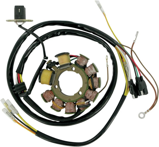 RICK'S MOTORSPORT ELECTRIC Stator POL EXPED 2000 bild 1 PMMEDIA:4813b6fa194b290d