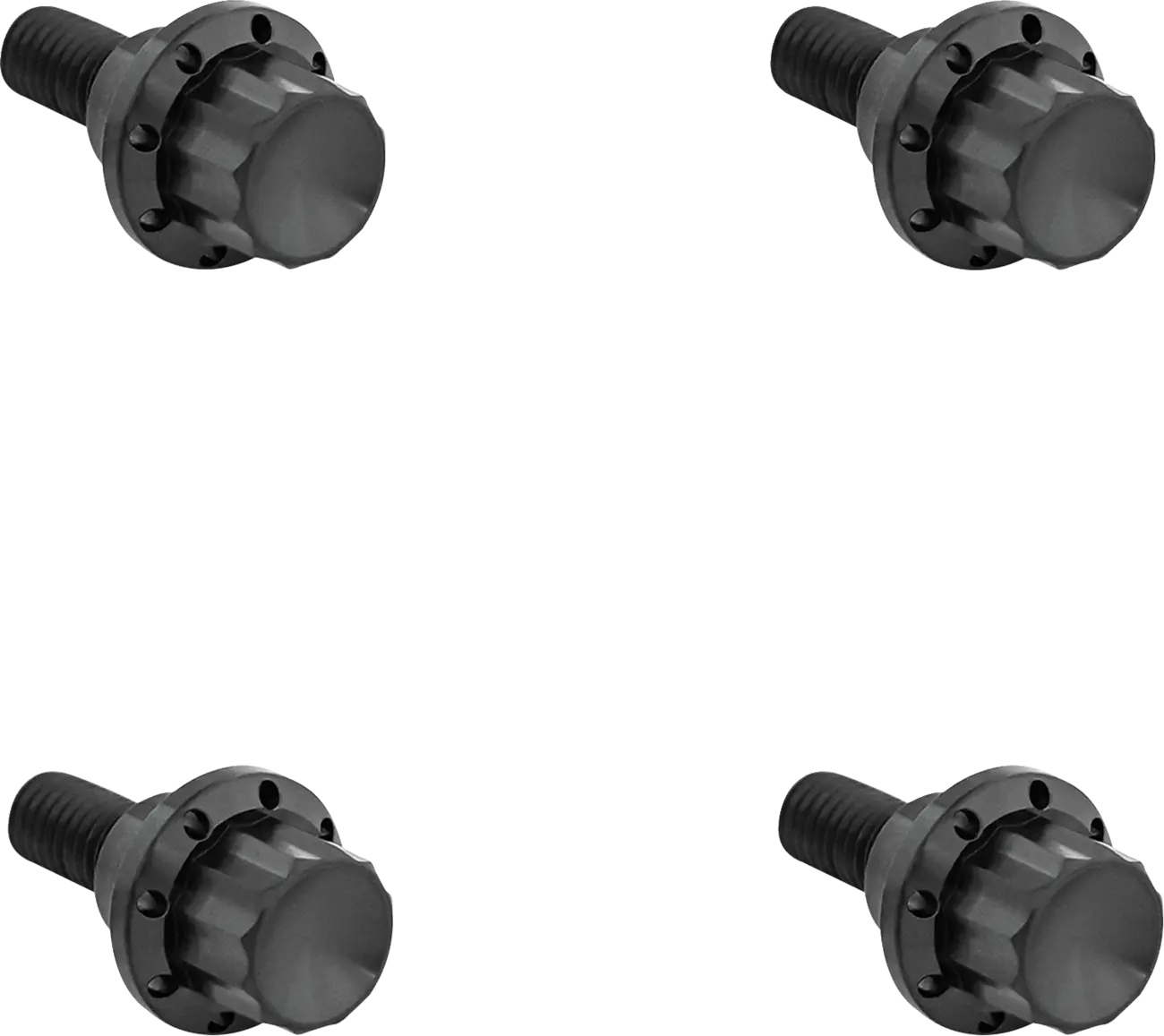 Arlen Ness Windshield Titanium 12-Point Bolt Kit Monteringssats fordonsanpassade bild 1 PMMEDIA:dc9008f91b4c5fa7