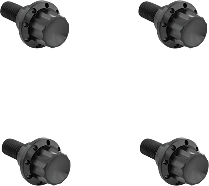 Arlen Ness Windshield Titanium 12-Point Bolt Kit Monteringssats fordonsanpassade bild 1 PMMEDIA:dc9008f91b4c5fa7