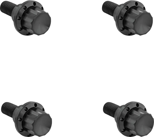 Arlen Ness Windshield Titanium 12-Point Bolt Kit Monteringssats fordonsanpassade bild 1 PMMEDIA:dc9008f91b4c5fa7